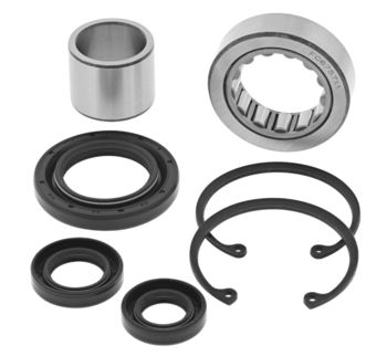 Inner Primary Bearing/seal kit: '94-'04 Big Dog, '95-up American Ironhorse, H-D: All Balls Racing Inner Primary Bearing Kit
